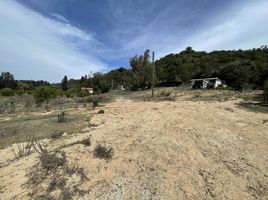  Terreno (Parcela) en venta en Casa Blanca, Valparaíso, Casa Blanca