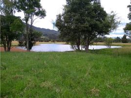 2 Schlafzimmer Villa zu verkaufen in Tenjo, Cundinamarca, Tenjo