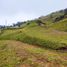  Land for sale in Sabaneta, Antioquia, Sabaneta