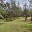  Terreno (Parcela) en venta en Envigado, Antioquia, Envigado