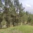  Terreno (Parcela) en venta en Envigado, Antioquia, Envigado