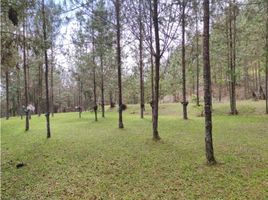  Terreno (Parcela) en venta en Envigado, Antioquia, Envigado