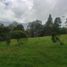  Terreno (Parcela) en venta en Envigado, Antioquia, Envigado