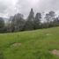  Terreno (Parcela) en venta en Envigado, Antioquia, Envigado
