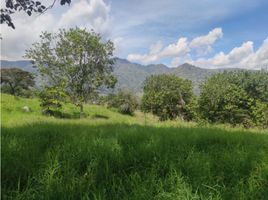  Terreno (Parcela) en venta en Girardota, Antioquia, Girardota