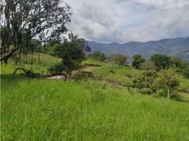  Terreno (Parcela) en venta en Girardota, Antioquia, Girardota