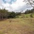  Grundstück zu verkaufen in La Ceja, Antioquia, La Ceja, Antioquia