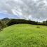  Grundstück zu verkaufen in La Ceja, Antioquia, La Ceja, Antioquia, Kolumbien