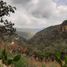  Land for sale in Zapopan, Jalisco, Zapopan