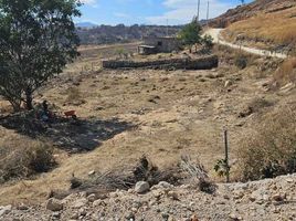  Land for sale in Zapopan, Jalisco, Zapopan