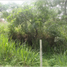  Land for sale in Cali, Valle Del Cauca, Cali