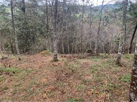  Terreno (Parcela) en venta en Retiro, Antioquia, Retiro