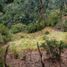  Land for sale in La Pena Cundinamarca, La Pena
