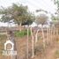  Land for sale in Malambo, Atlantico, Malambo