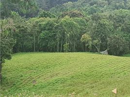  Terreno (Parcela) en venta en Retiro, Antioquia, Retiro