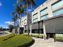 30 m2 Office for rent in Nicolas Romero, Mexico, Nicolas Romero
