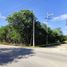 Land for rent in Progreso Yucatan, Progreso