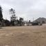  Land for rent in Lurin, Lima, Lurin, Lima, Lima