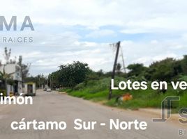  Terreno (Parcela) en alquiler en Altamira, Tamaulipas, Altamira