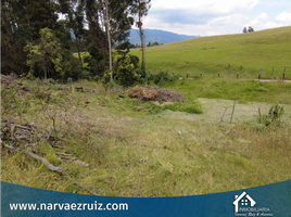  Land for sale in Zipaquira, Cundinamarca, Zipaquira