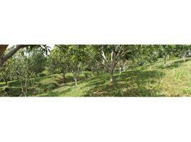  Land for sale in Anapoima, Cundinamarca, Anapoima