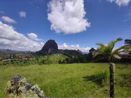  Terreno (Parcela) en venta en Guatape, Antioquia, Guatape