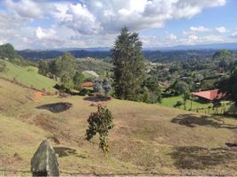  Land for sale in San Vicente, Antioquia, San Vicente