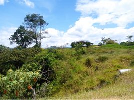  Land for sale in Villeta, Cundinamarca, Villeta