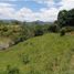  Land for sale in Villeta, Cundinamarca, Villeta