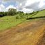  Land for sale in El Carmen De Viboral, Antioquia, El Carmen De Viboral