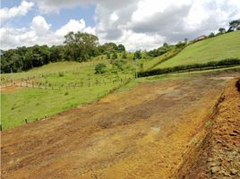  Land for sale in El Carmen De Viboral, Antioquia, El Carmen De Viboral