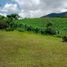  Land for sale in El Carmen De Viboral, Antioquia, El Carmen De Viboral