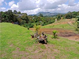  Land for sale in El Carmen De Viboral, Antioquia, El Carmen De Viboral