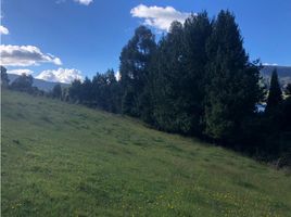  Terrain for sale in Cogua, Cundinamarca, Cogua