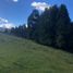  Land for sale in Cogua, Cundinamarca, Cogua