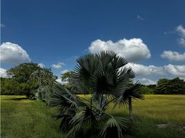  Terreno (Parcela) en venta en Monteria, Córdoba, Monteria