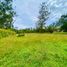  Land for rent in Rionegro, Antioquia, Rionegro, Antioquia