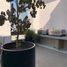 Condominium 2 chambre à vendre à Guadalajara, Jalisco, Guadalajara
