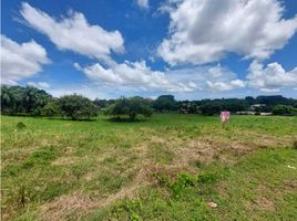  Land for sale in Chitre, Herrera, Chitre, Chitre