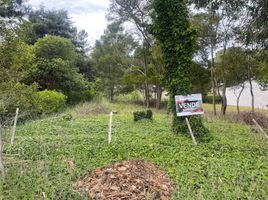  Land for sale in General Alvarado, Buenos Aires, General Alvarado