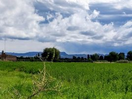  Grundstück zu verkaufen in San Rafael, Mendoza, San Rafael