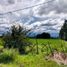  Grundstück zu verkaufen in San Rafael, Mendoza, San Rafael