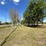  Land for rent in Argentina, Tigre, Buenos Aires, Argentina