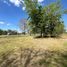  Land for rent in Argentina, Tigre, Buenos Aires, Argentina