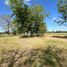  Land for rent in Argentina, Tigre, Buenos Aires, Argentina