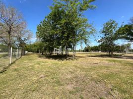  Terreno (Parcela) en alquiler en Argentina, Tigre, Buenos Aires, Argentina