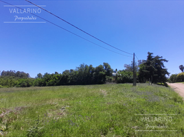  Land for sale in Colon, Entre Rios, Colon