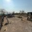  Land for sale in Amacuzac, Morelos, Amacuzac