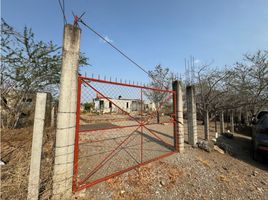  Land for sale in Amacuzac, Morelos, Amacuzac