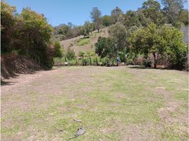  Land for sale in El Carmen De Viboral, Antioquia, El Carmen De Viboral